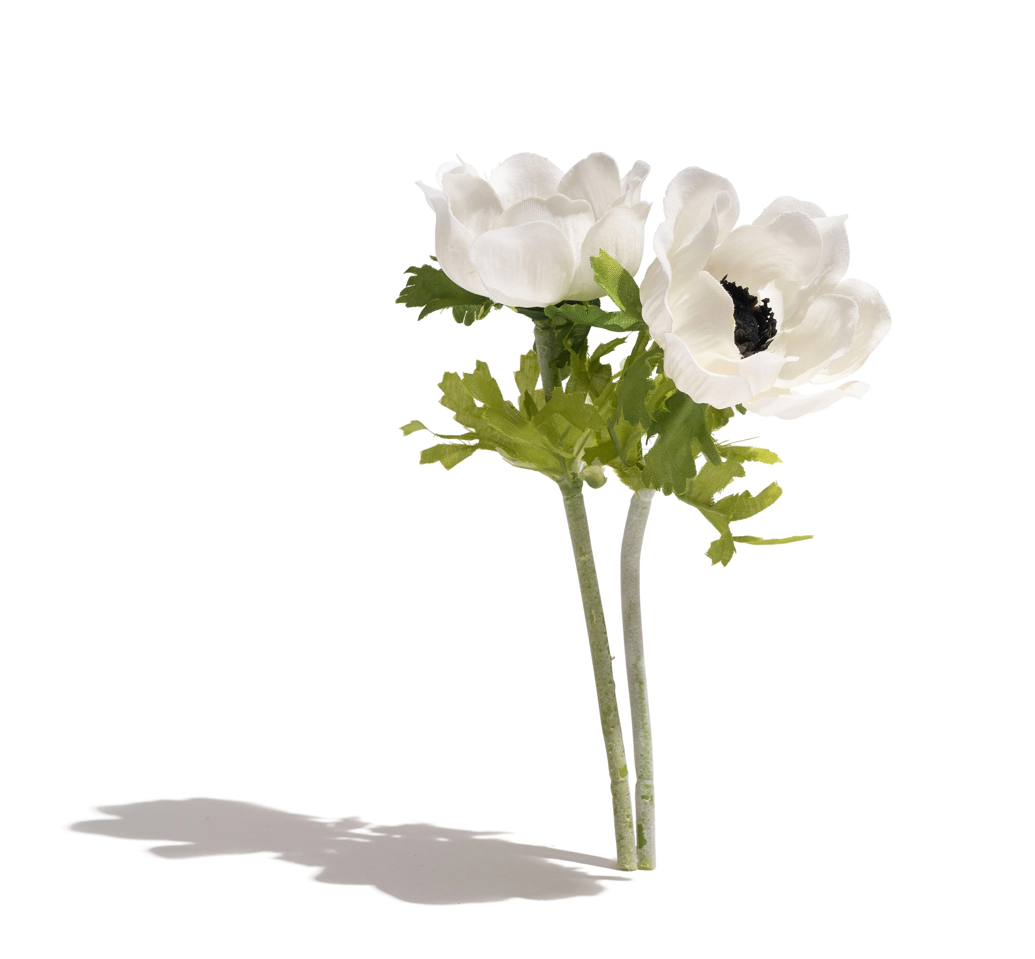 Anemone Floral - Image 2