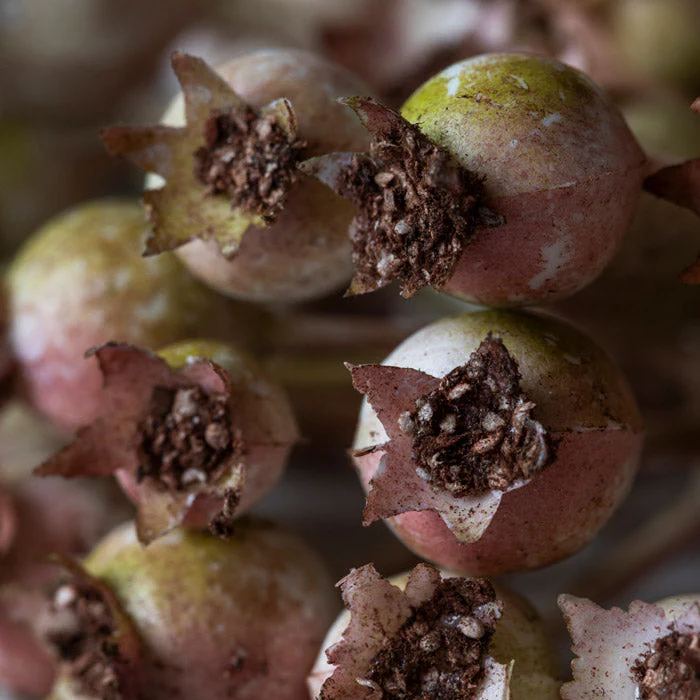 Artificial Rose Hip Bunch Blush - Image 3