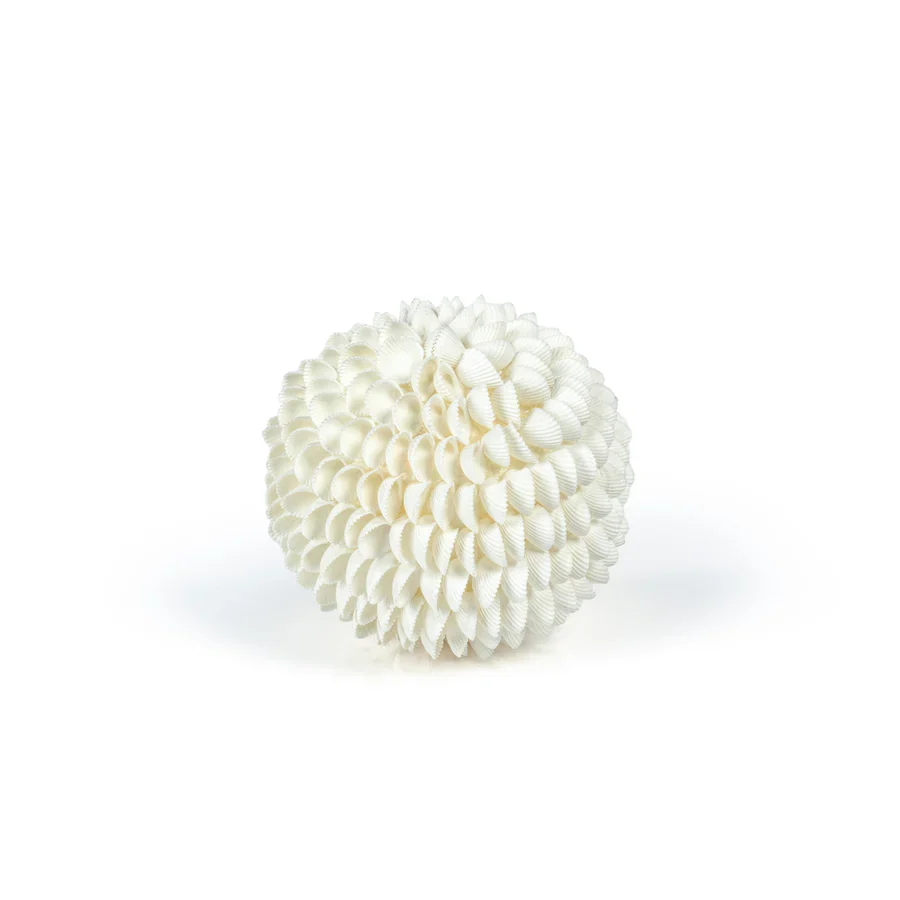 Natural Clamrose Sea Shell Fill Ball - Image 2